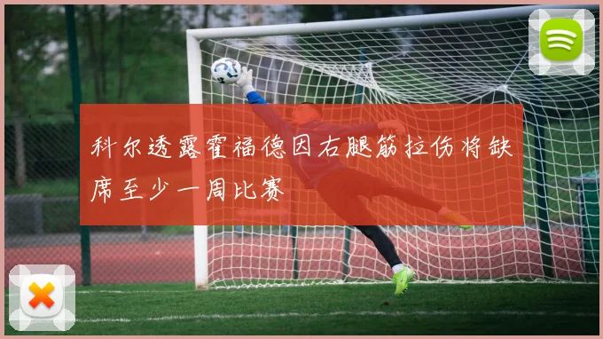 科尔透露霍福德因右腿筋拉伤将缺席至少一周比赛