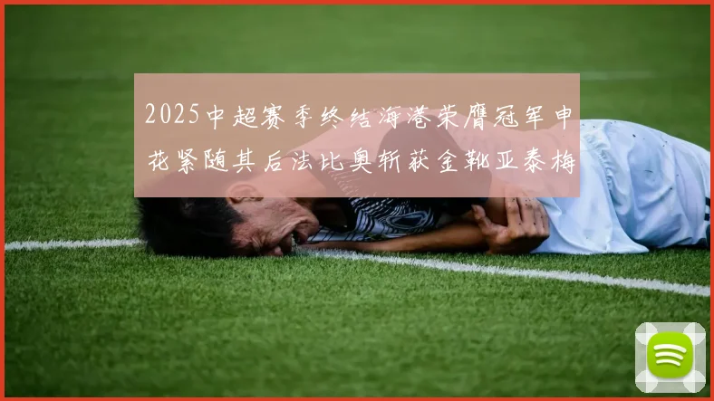 2025中超赛季终结海港荣膺冠军申花紧随其后法比奥斩获金靴亚泰梅州遗憾降级